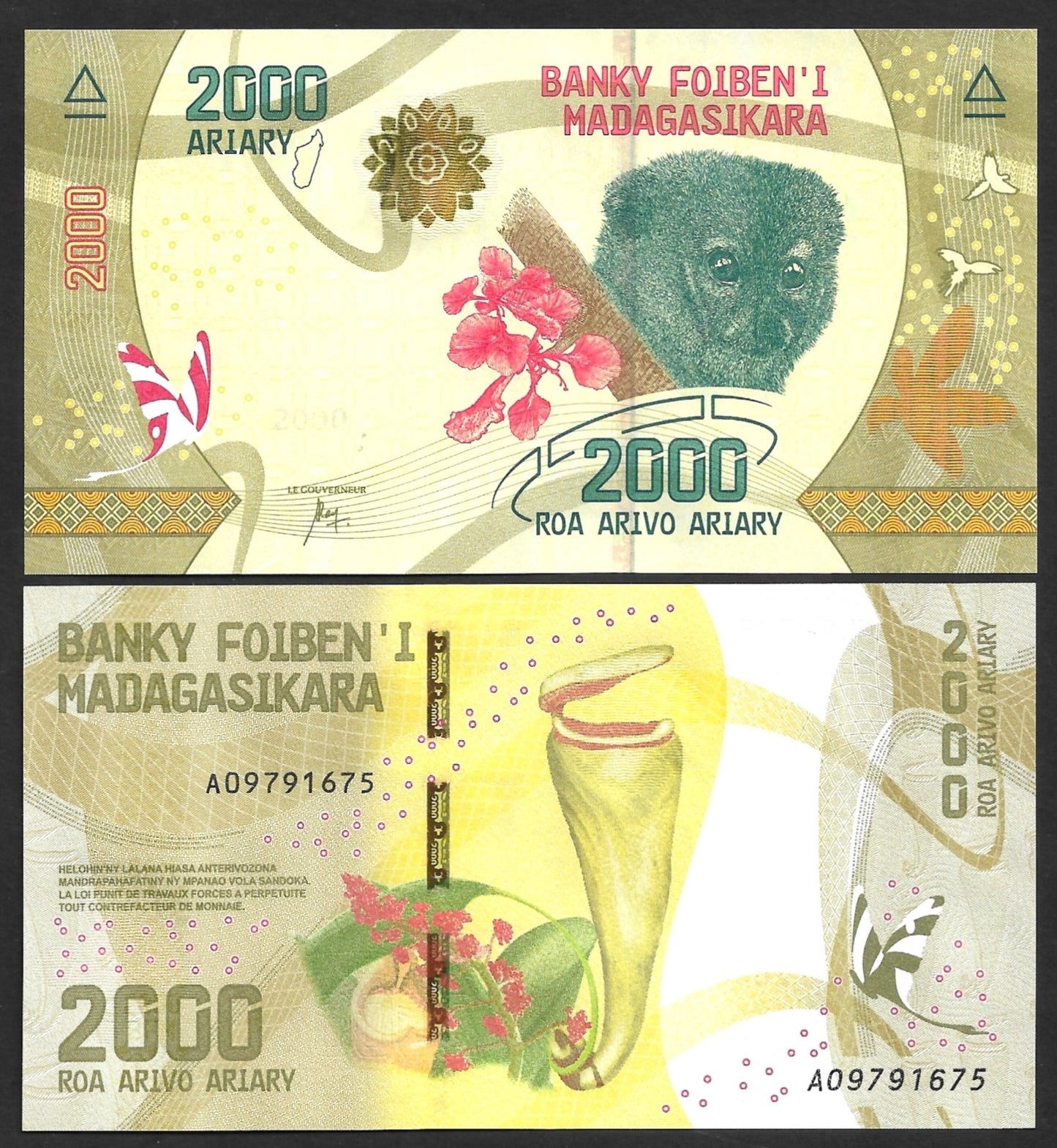 Madagascar 2000 Ariary 2017 P 101 UNC Lemur