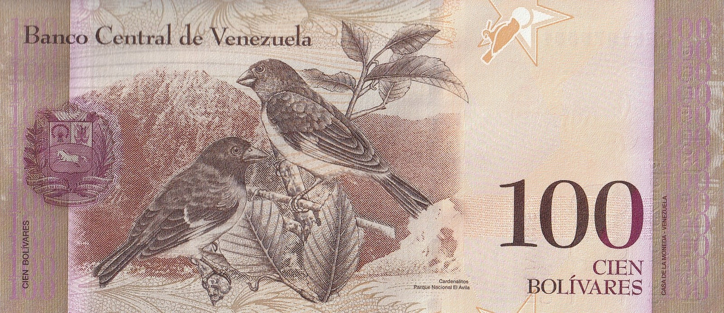 Venezuela 100 Bolivares 2015 P 93j UNC