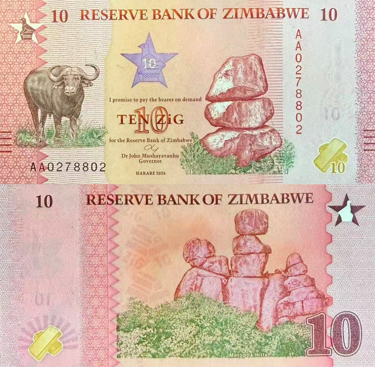 Zimbabwe 10 Zig 2026 P NEW Design UNC 1/10 Bundle Lot 10 pcs
