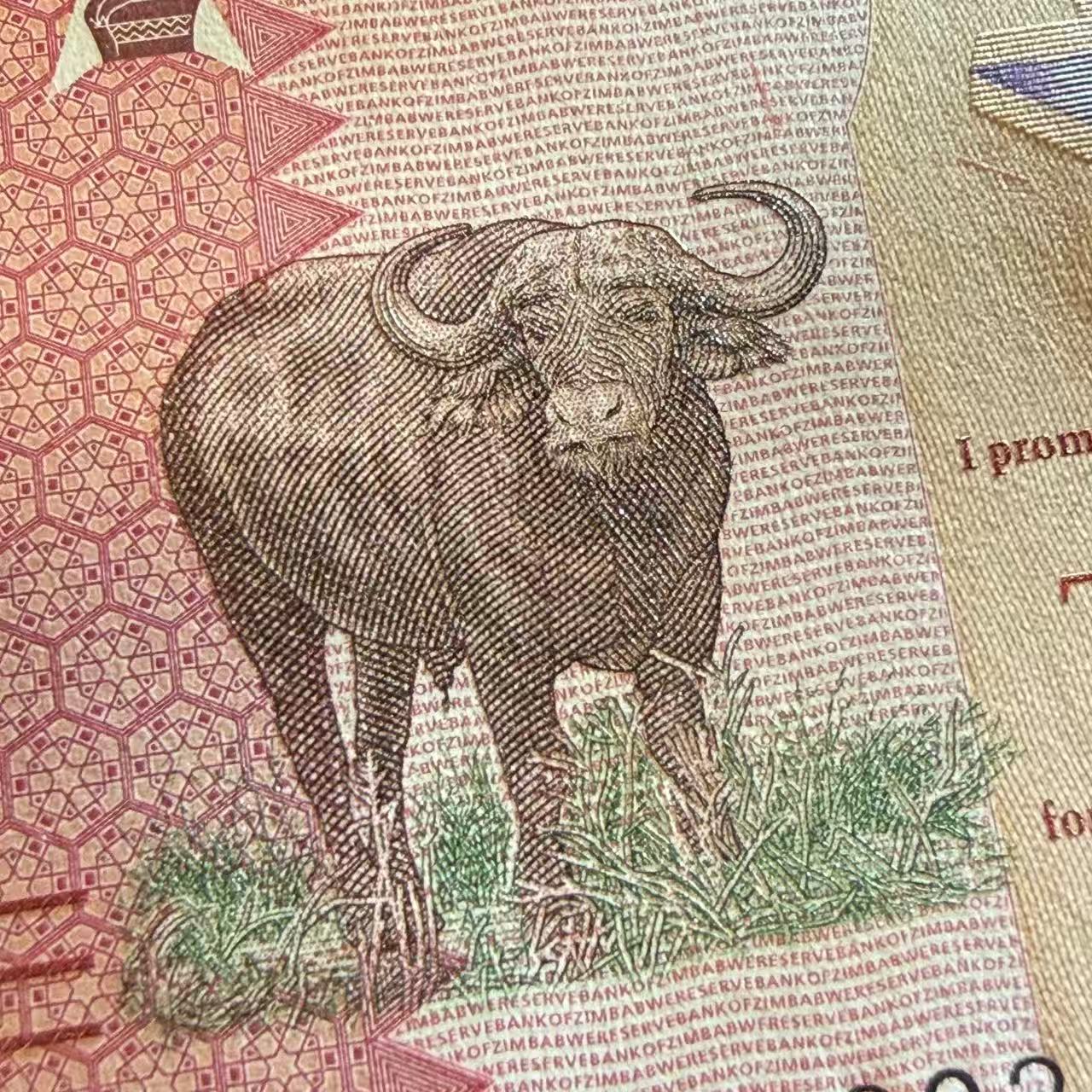 Zimbabwe 10 Zig 2026 P NEW Design UNC 1/5 Bundle Lot 20 pcs