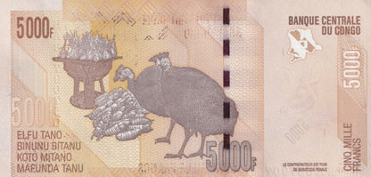 Congo Democratic Republic 5000 Francs 2022 P 102 UNC