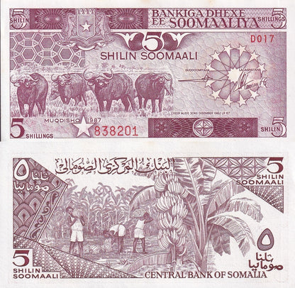 Somalia 5 Shilin Soomaali 1987 P 31c UNC MINOR FOXING 1/20 Bundle Lot 5 pcs