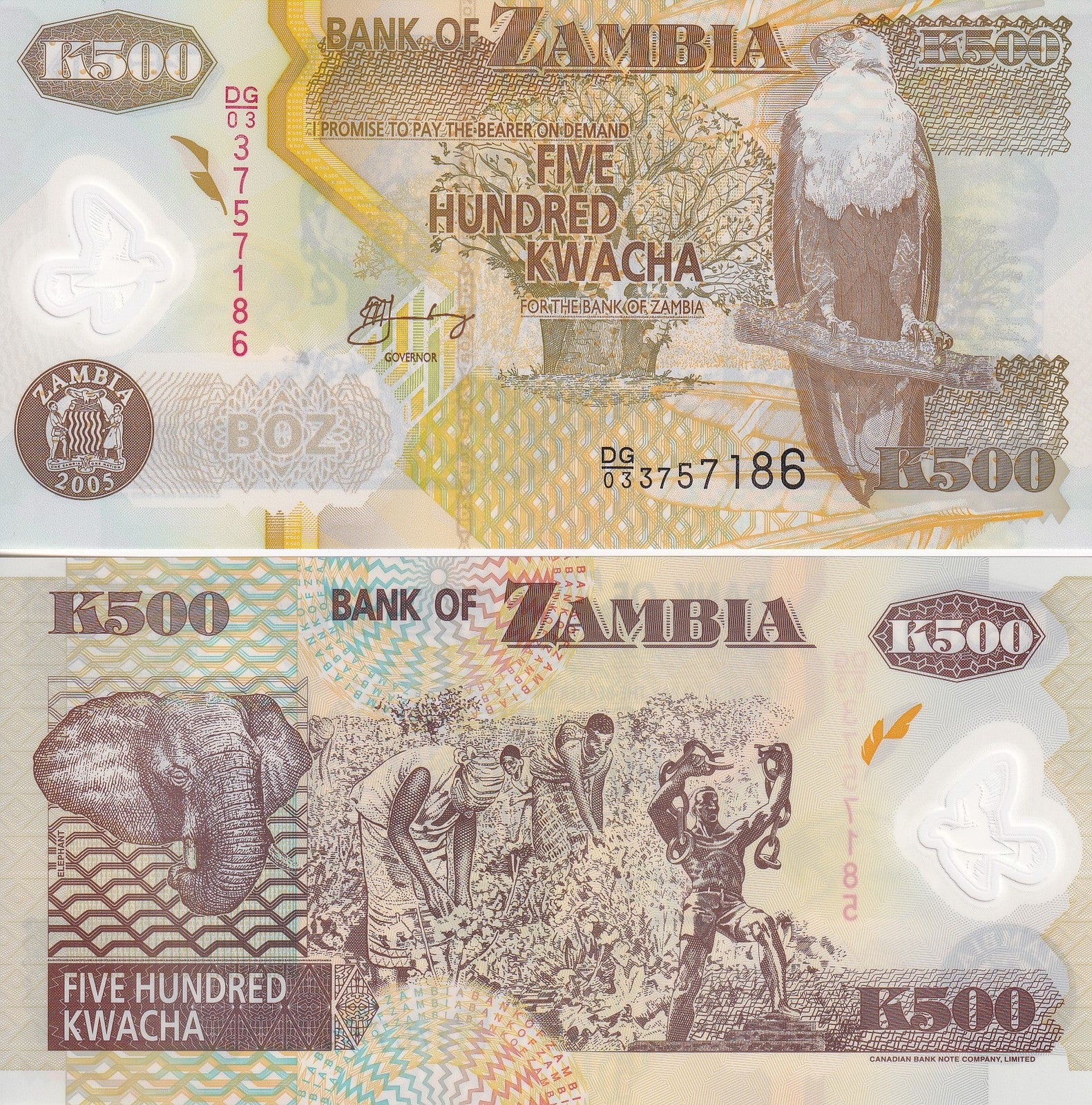 Zambia 500 Kwacha 2005 P 43 Polymer UNC