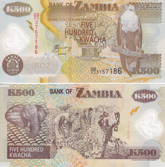 Zambia 500 Kwacha 2005 P 43 Polymer UNC