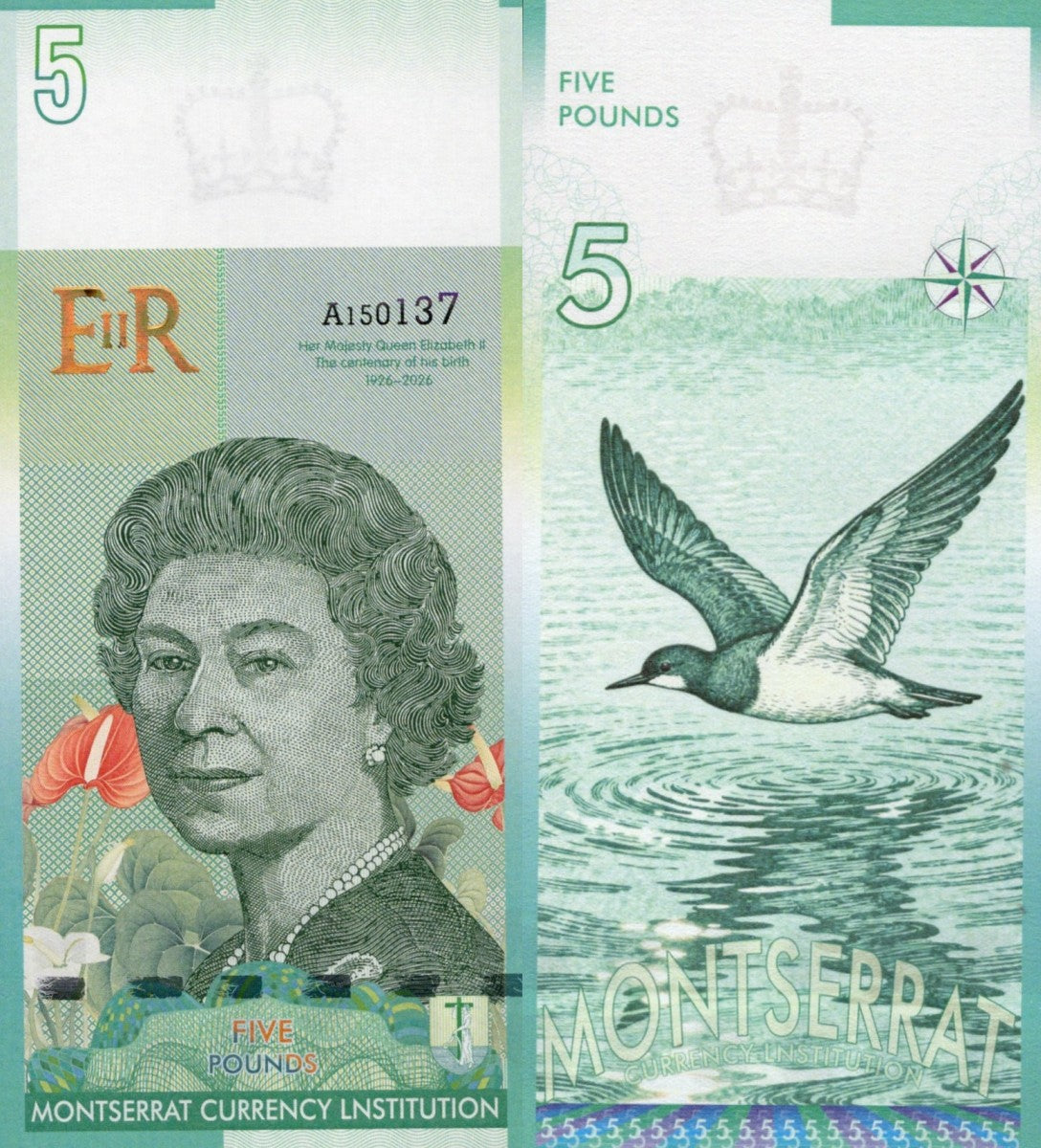 East Caribbean States 2022 MONTSERRAT 5 £ TEST NOTE QUEEN ELIZABETH II UNC