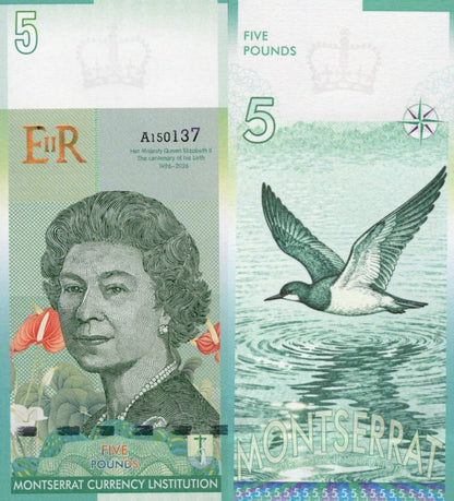 East Caribbean States 2022 MONTSERRAT 5 £ TEST NOTE QUEEN ELIZABETH II UNC