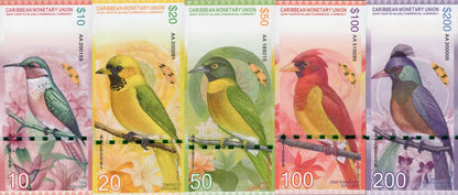 Caribbean Saint Martin Notes Bird & Flower COMM. Banknotes Full Set 5 pcs UNC