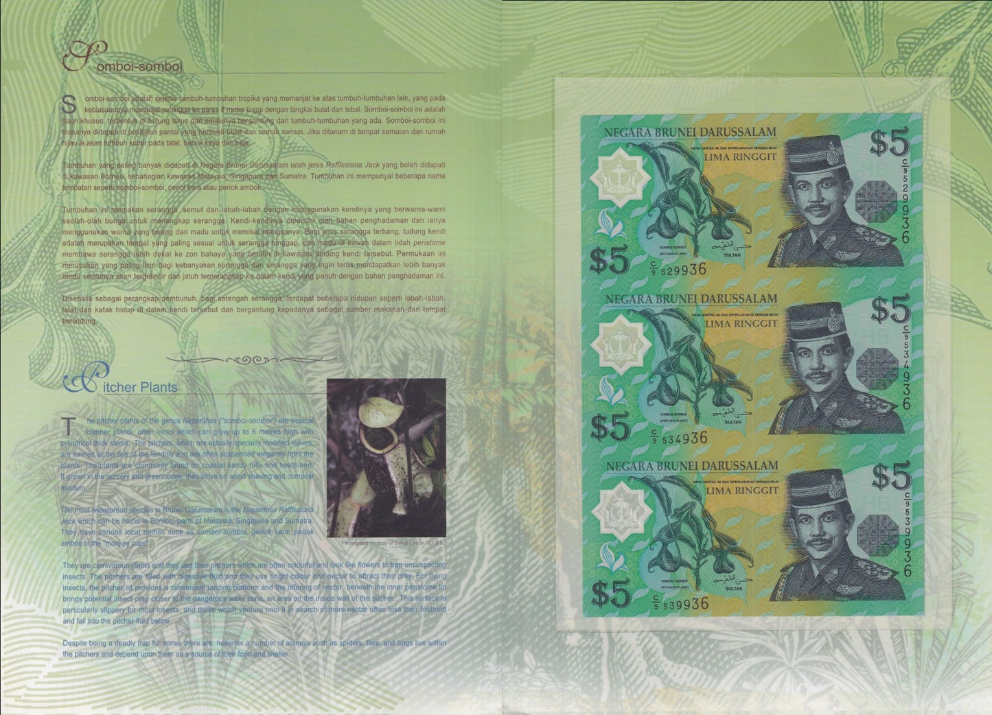 Brunei 5 Ringgit 2002 P 23b Polymer UNC UNCUT 3 IN 1 With Folder