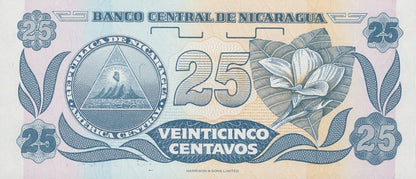 Nicaragua 25 Centavos de Cordoba ND (1991) P 170 UNC