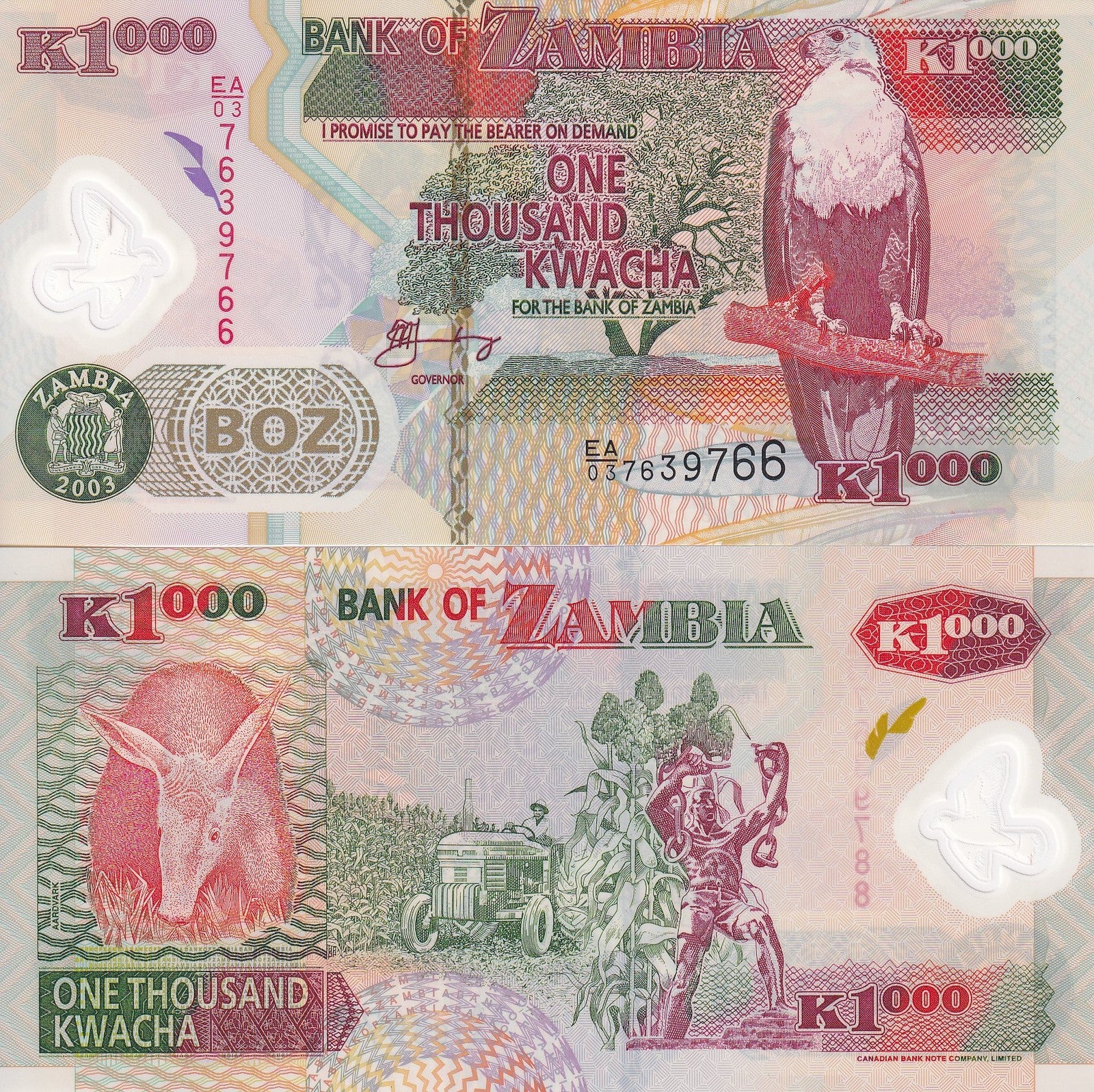 Zambia 1000 Kwacha 2003 P 44b Polymer UNC