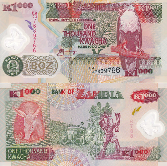 Zambia 1000 Kwacha 2003 P 44b Polymer UNC