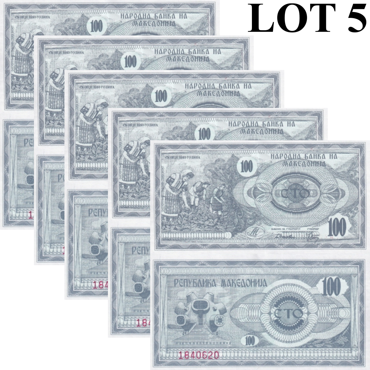 Macedonia 100 Denari 1992 P 4 UNC 1/20 Bundle Lot 5 pcs