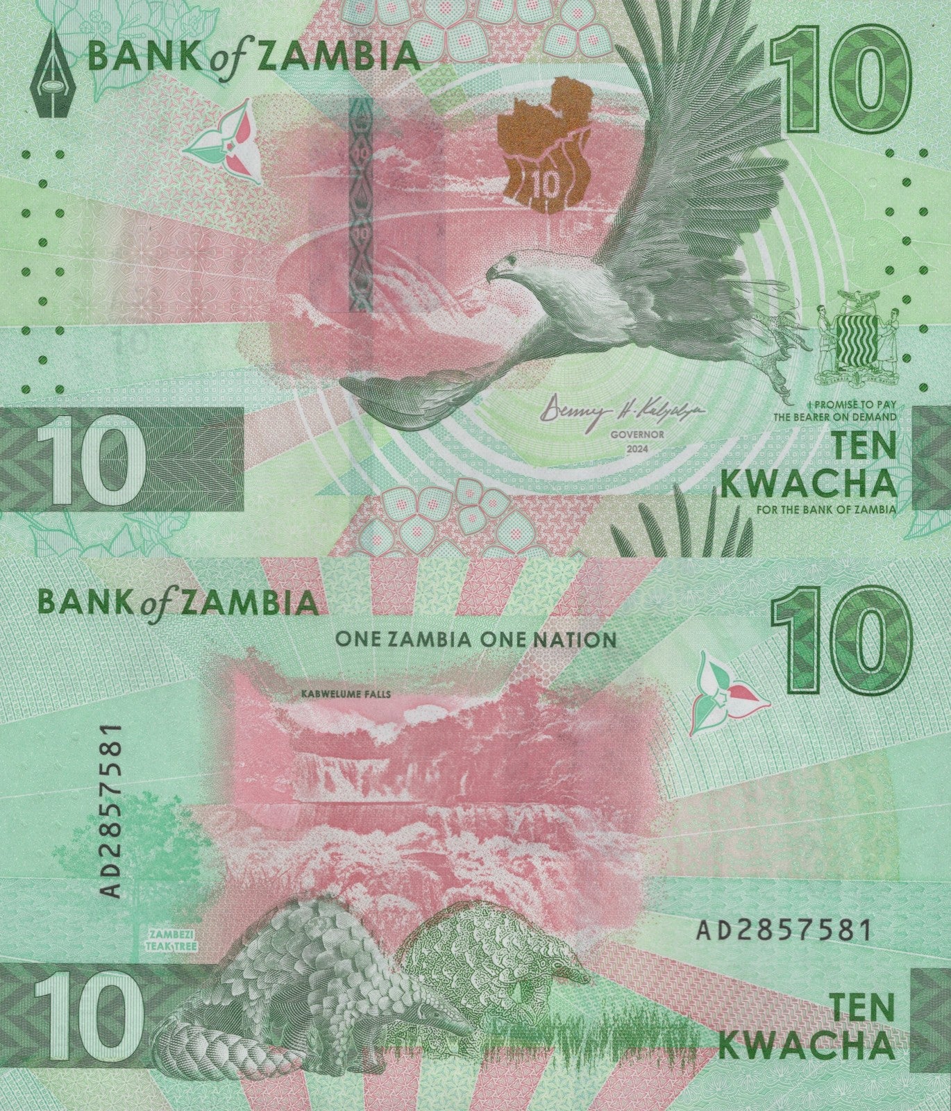 Zambia 10 Kwacha 2024 2025 P New Issue UNC Lot 100 pcs