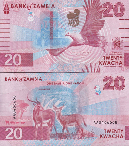 Zambia 20 Kwacha 2024 2025 P New Issue UNC AA Frist Prefix 1 Bundle 100 pcs