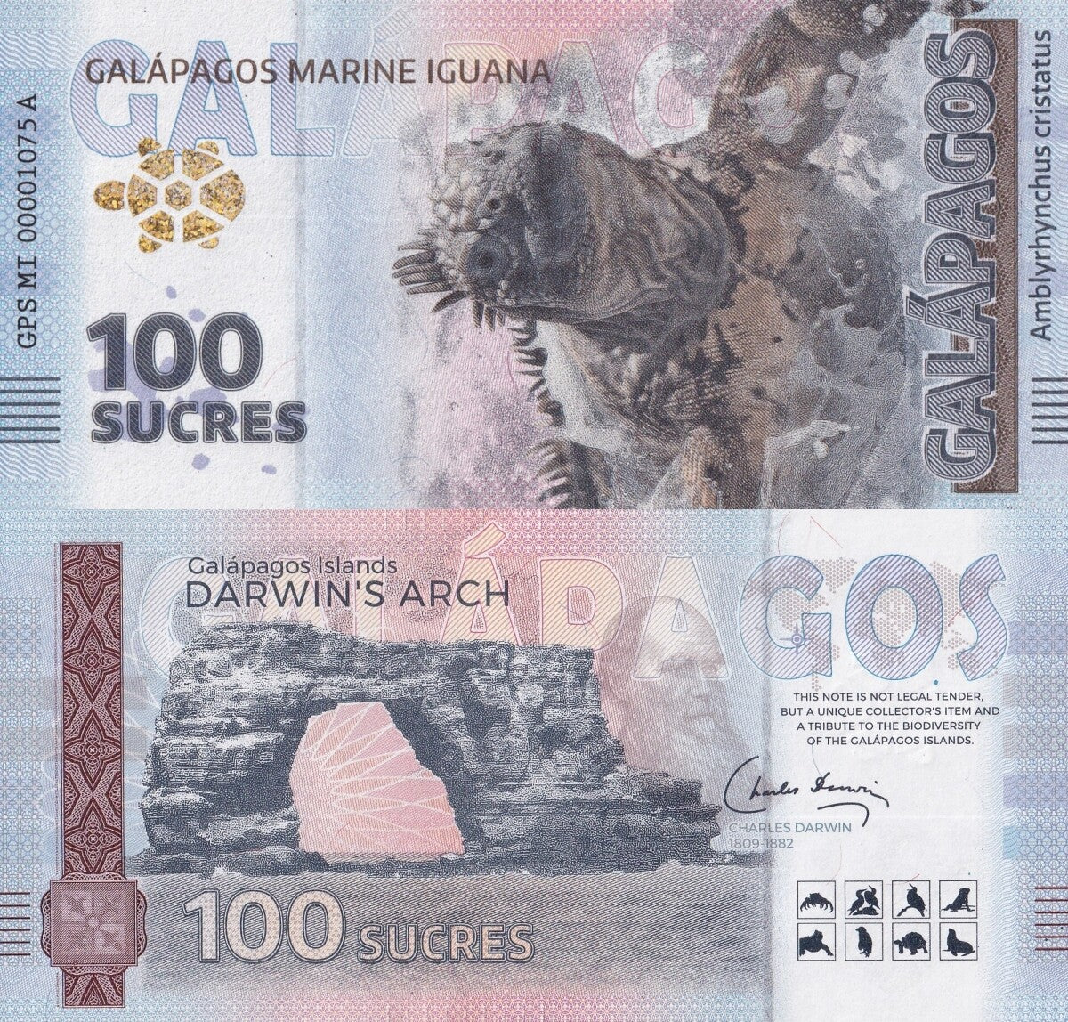 Galapagos Souvenir Note 100 Sucres Galapagos Marine Iguana UNC Test Note