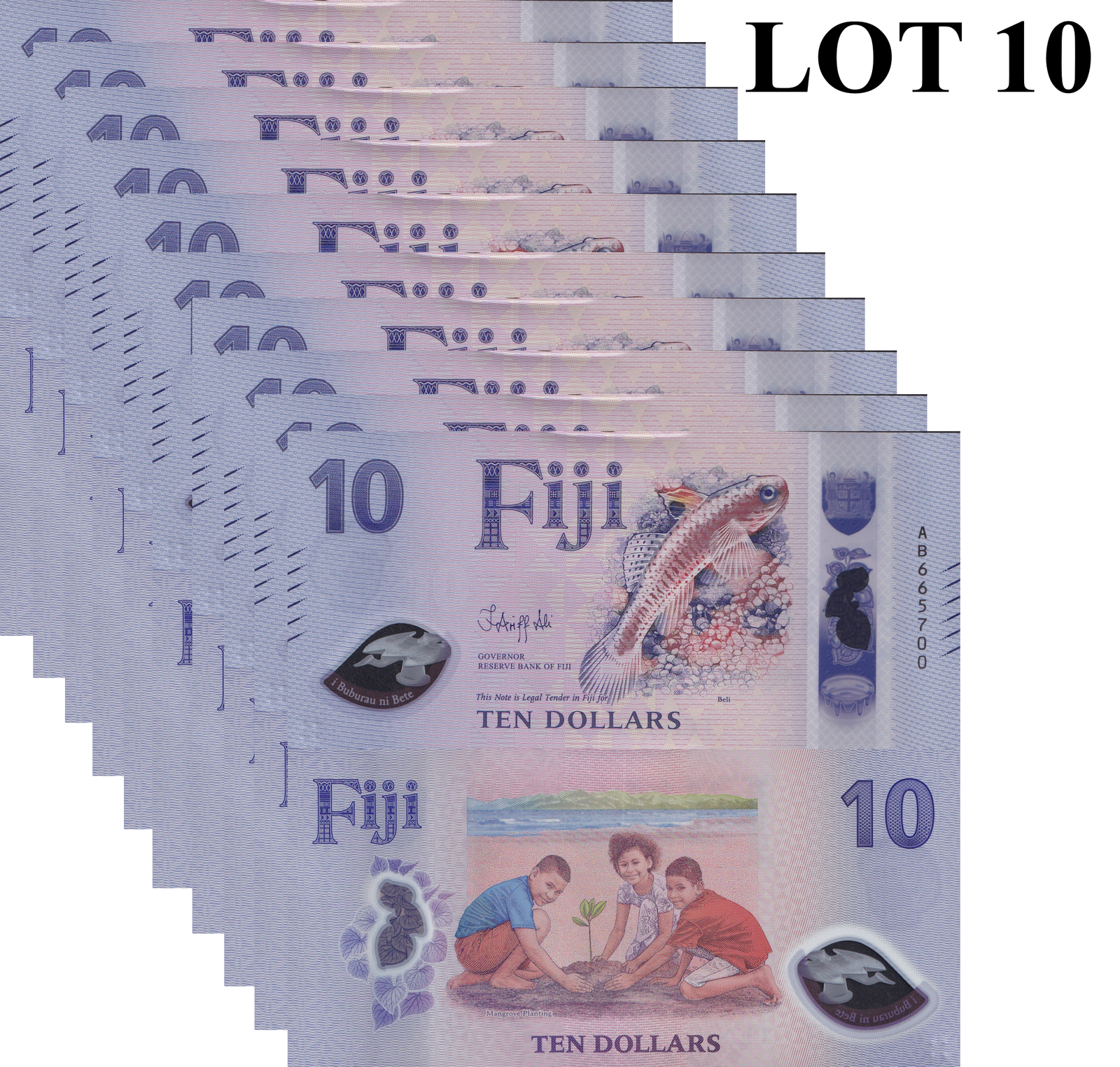 Fiji 10 Dollars 2026 P New Design Polymer UNC 1/10 Bundle Lot 10 pcs