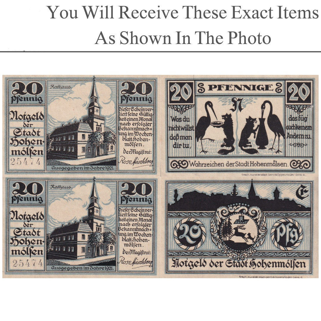Germany Notgeld HOHENMOLSEN 20 Pfennig 1921 Set 2 pcs
