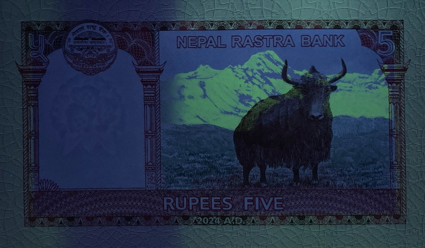 Nepal 5 Rupees 2024/2025 P 76 UNC 1/5 Bundle Lot 20 pcs