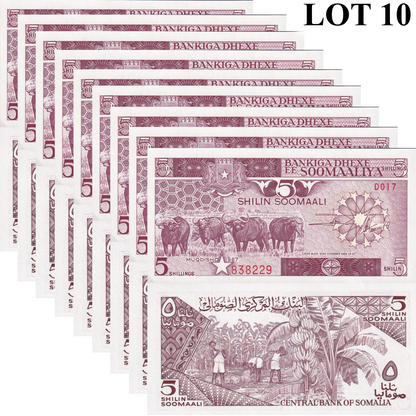 Somalia 5 Shilin Soomaali 1987 P 31c UNC MINOR FOXING 1/10 Bundle Lot 10 pcs