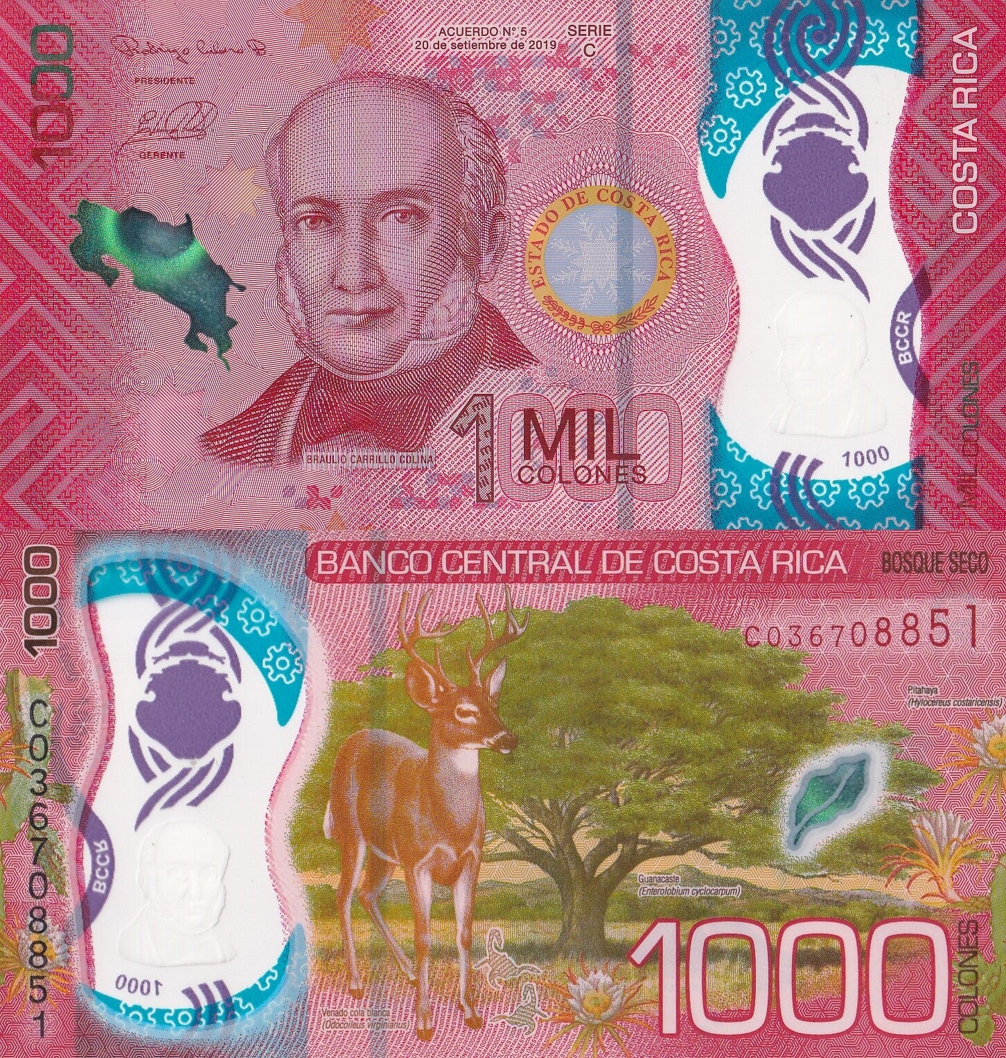 Costa Rica 1000 Colones 2019(2021) P 280 New Polymer UNC