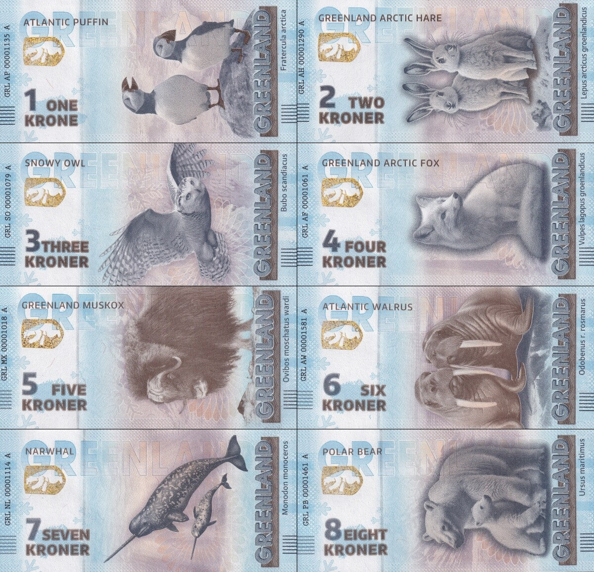 Greenland Complete set of Eight Souvenir Note UNC Test Note Set 8 pcs