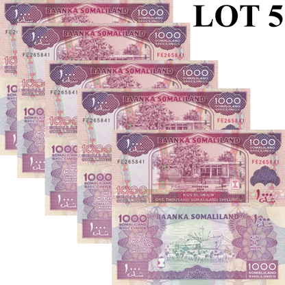 Somaliland 1000 Somaliland Shillings 2014 P 20c UNC 1/20 Bundle LOT 5 pcs