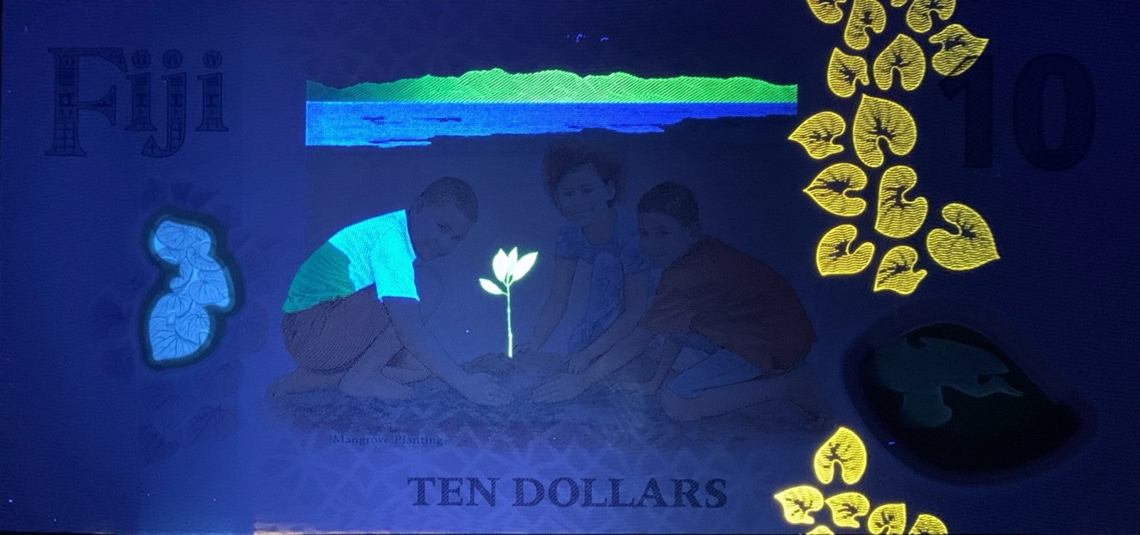 Fiji 10 Dollars 2026 P New Design Polymer UNC 1/20 Bundle Lot 5 pcs
