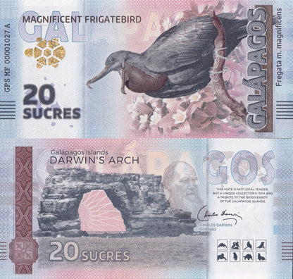 Galapagos Souvenir Note 20 Sucres Magnificent Frigatebird UNC Test Note