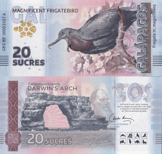 Galapagos Souvenir Note 20 Sucres Magnificent Frigatebird UNC Test Note