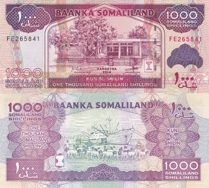 Somaliland 1000 Somaliland Shillings 2014 P 20c UNC 1/20 Bundle LOT 5 pcs