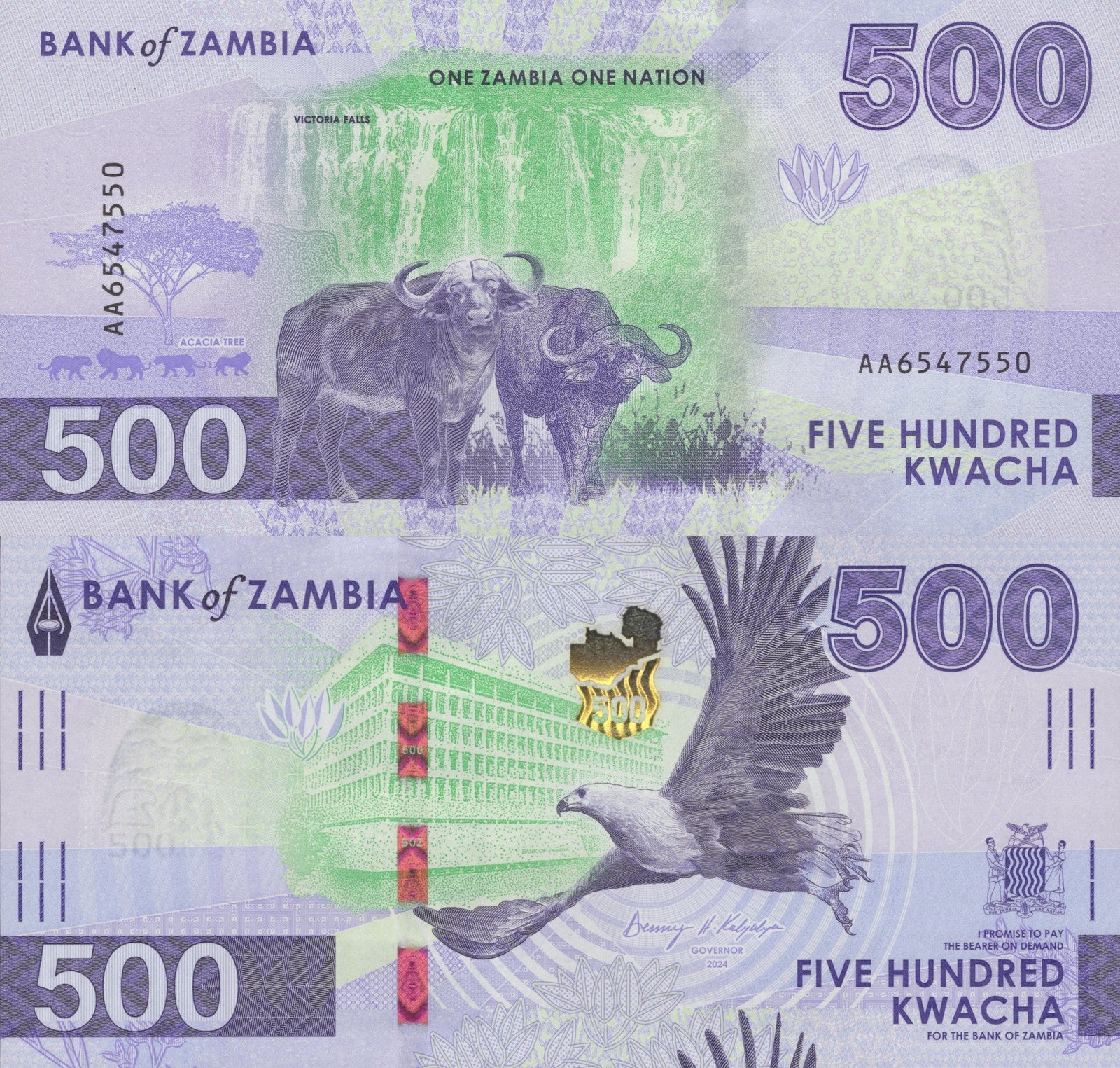 Zambia 500 Kwacha 2024 2025 P New Issue UNC AA First Prefix
