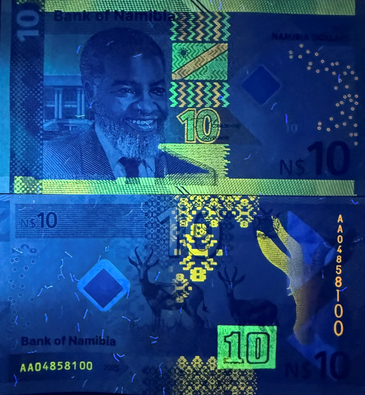 NAMIBIA 10 Namibia Dollars 2025 P New Issue UNC 1/10 Bundle LOT 10 pcs