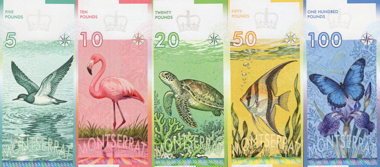 East Caribbean States 5 10 20 50 100 £ TEST NOTE QUEEN ELIZABETH II UNC Set 5 p