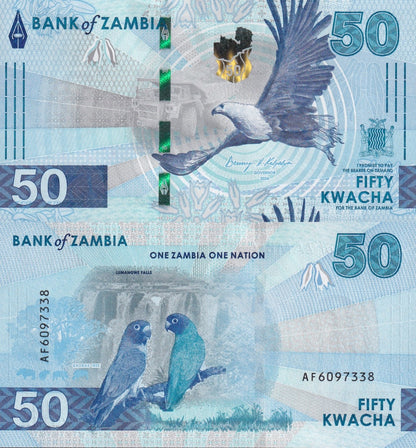 Zambia 50 Kwacha 2024 2025 P New Issue UNC 1/20 Bundle LOT 5 pcs