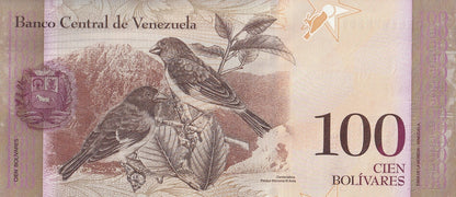 Venezuela 100 Bolivares 2015 P 93j UNC