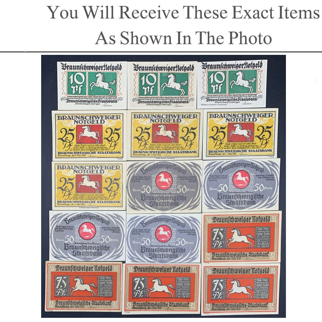 Germany Notgeld BRAUNSCHWEIG 10 25 50 75 Pfennig 1921 Set 15 pcs