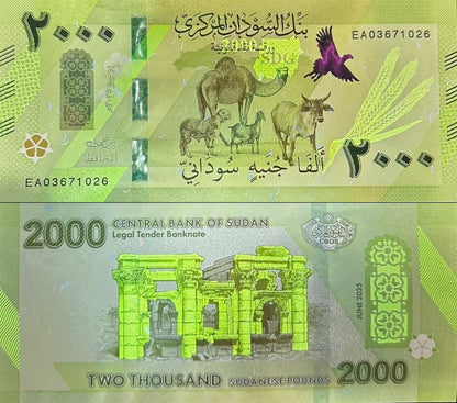 Sudan 2000 Pounds 2025 / 2026 P New Design Camel UNC Lot 3 pcs