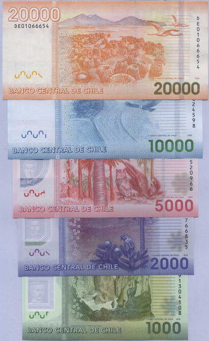 CHILE Set 5 pcs 1000-20000 Pesos 2016-2021 P 161-165 Polymer Paper UNC