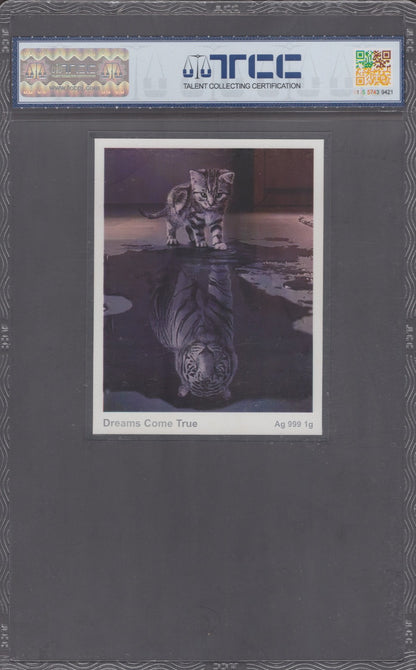 China Dreams Come True 2022 1g Ag 999 Silver UNC With Hard Case