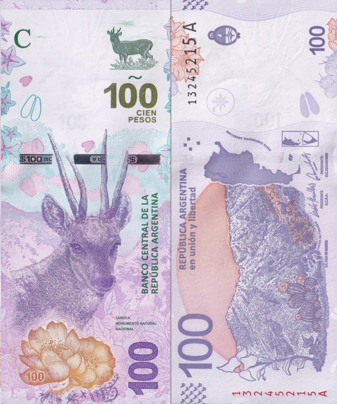 Argentina 100 Pesos ND 2018 P 363A UNC