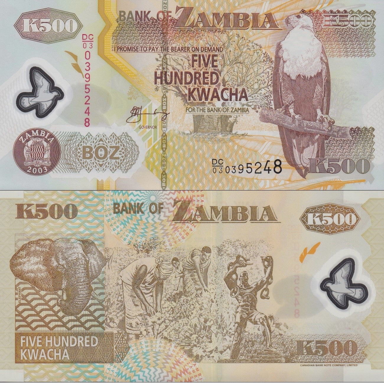 Zambia 500 Kwacha 2003 P 43 Polymer UNC