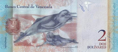 Venezuela 2 Bolivars 2007-2014 P 88 Random Sign UNC