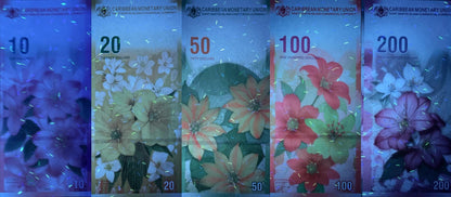 Caribbean Saint Martin Notes Bird & Flower COMM. Banknotes Full Set 5 pcs UNC