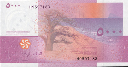 Comoros 5000 Francs 2025 / 2026 P NEW Design UNC