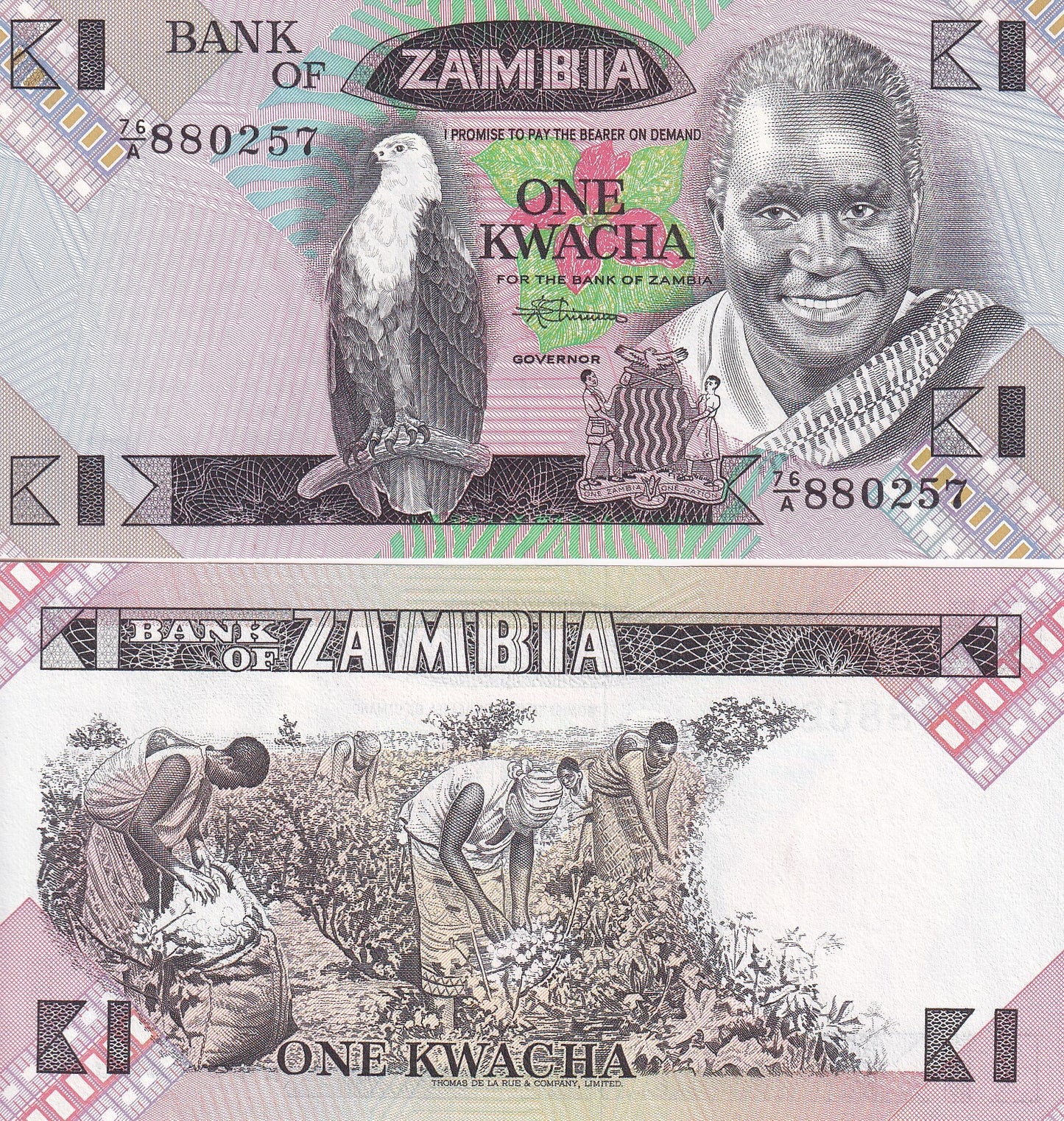 Zambia 1 Kwacha ND 1980-1988 P 23b UNC