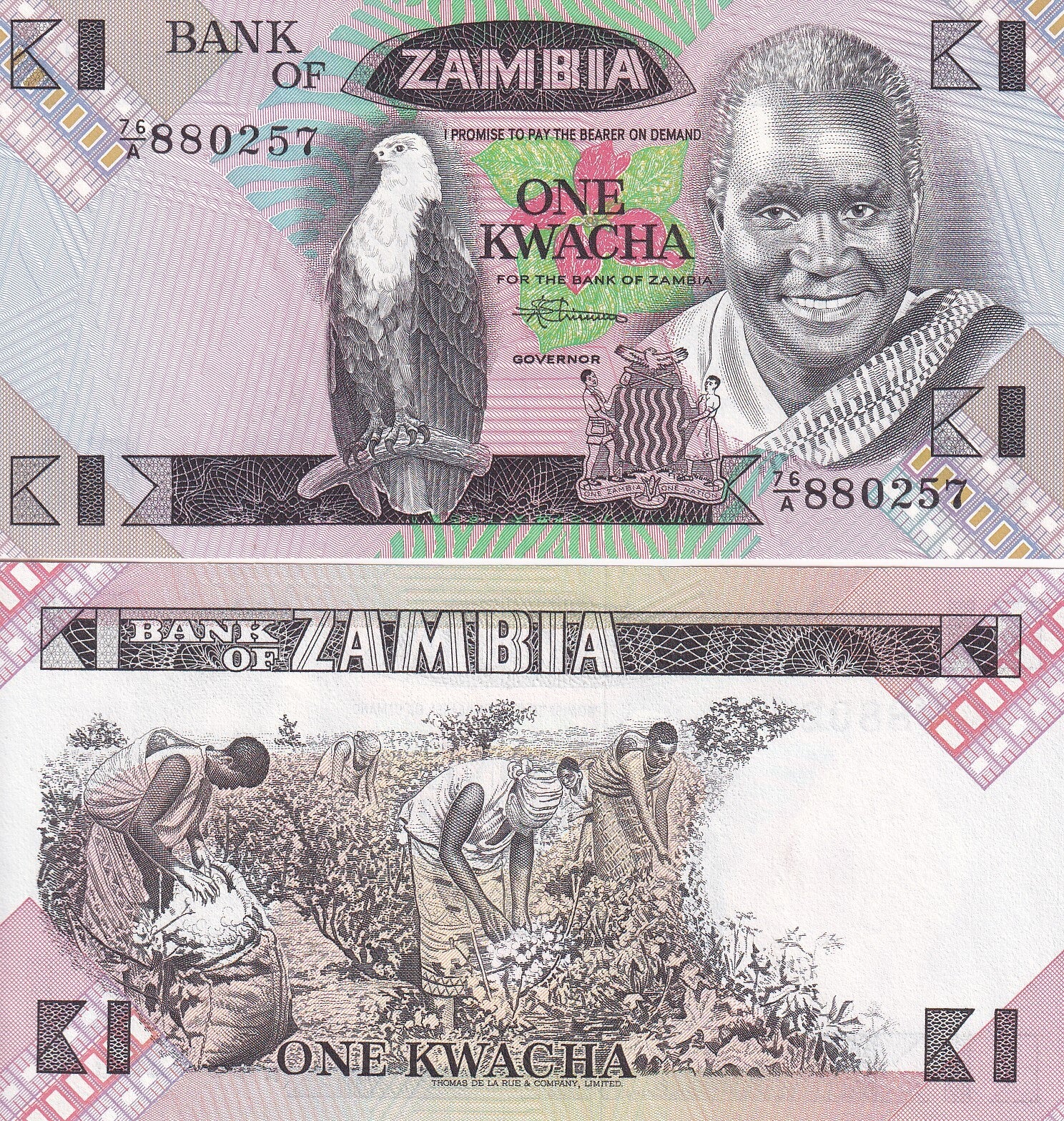 Zambia 1 Kwacha ND 1980-1988 P 23b UNC