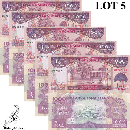 Somaliland 1000 Shillings 2016 P 20 UNC 1/20 Bundle LOT 5 pcs