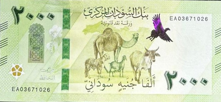 Sudan 2000 Pounds 2025 / 2026 P New Design Camel UNC
