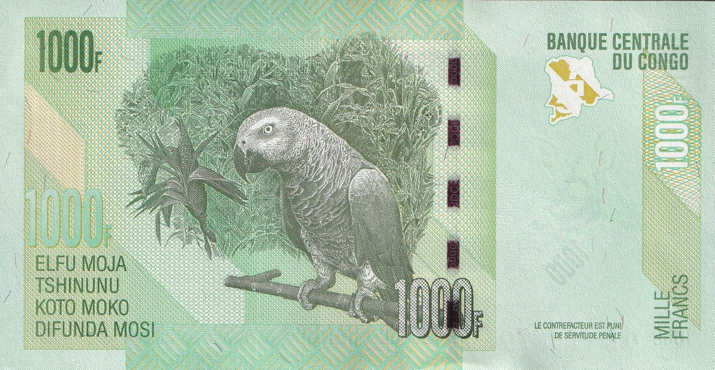 Congo Democratic Republic 1000 Francs 2022 P 101 UNC