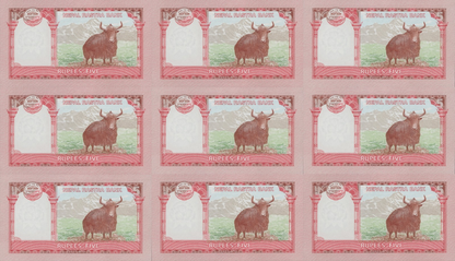 Nepal 5 Rupees 2017-2020 P 76 UNC Set 9 pcs SOLID 1111111-999999